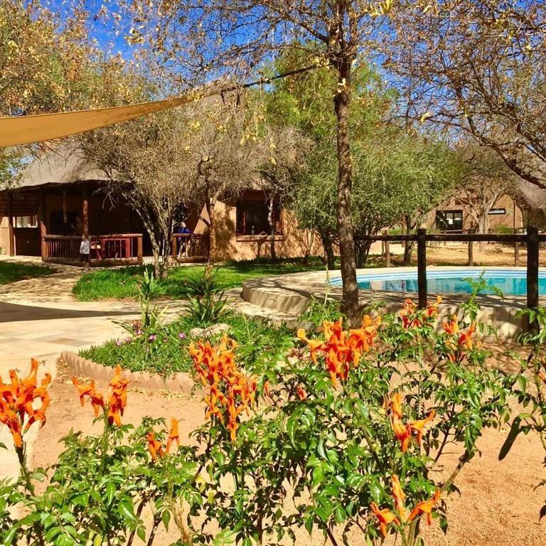 Golden Impalas Bush Resort Hammanskraal Exteriör bild